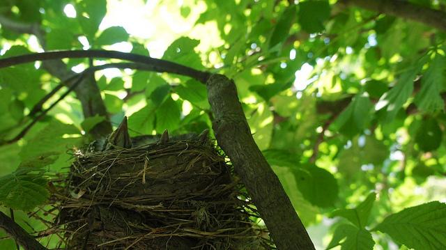 anteketborka.blogspot.com, new10