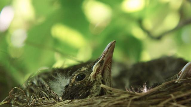 anteketborka.blogspot.com, new7