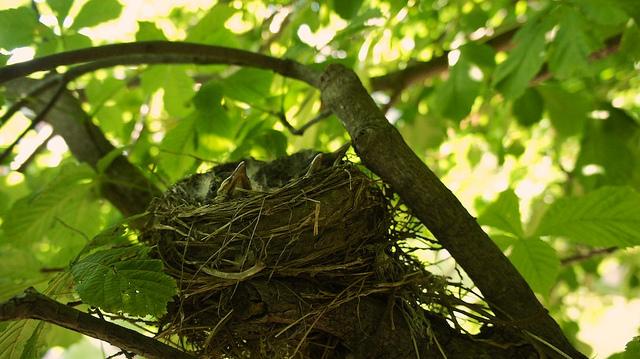 anteketborka.blogspot.com, new6