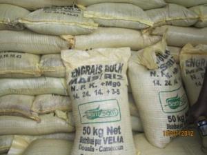 Développement : Des semences pour les producteurs de l’arrondissement de Maroua 1er