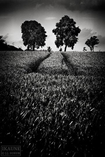 Sélection Darqroom Pixfan #79