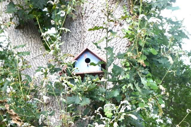 Image and video hosting by TinyPic