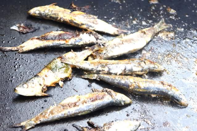 Image and video hosting by TinyPic