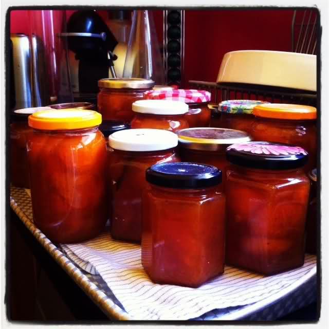 Image and video hosting by TinyPic