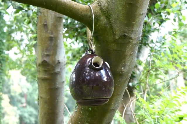 Image and video hosting by TinyPic