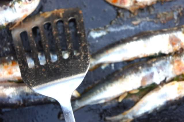 Image and video hosting by TinyPic