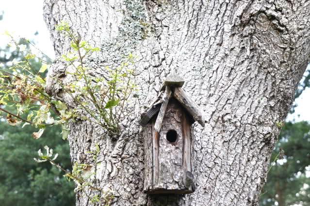 Image and video hosting by TinyPic