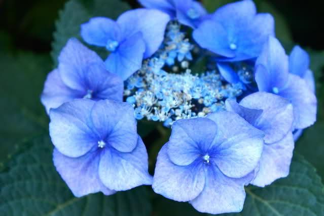 Image and video hosting by TinyPic