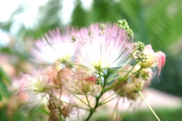 Image and video hosting by TinyPic