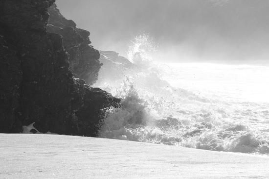 Interview de la Qypeuse de la semaine : Shashi !