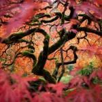 24ème édition du ‘National Geographic Traveler Photo Contest’