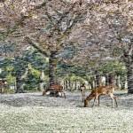 24ème édition du ‘National Geographic Traveler Photo Contest’