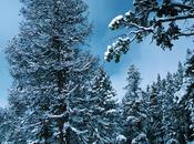 Chemin faisant, pensées herbes vertes...