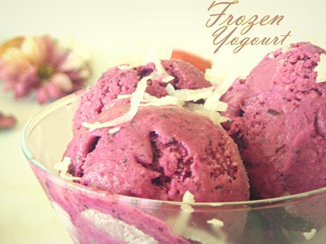 frozen_yogourt_blueberries