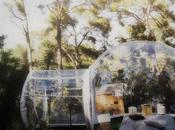 Dernier mardi tout doux