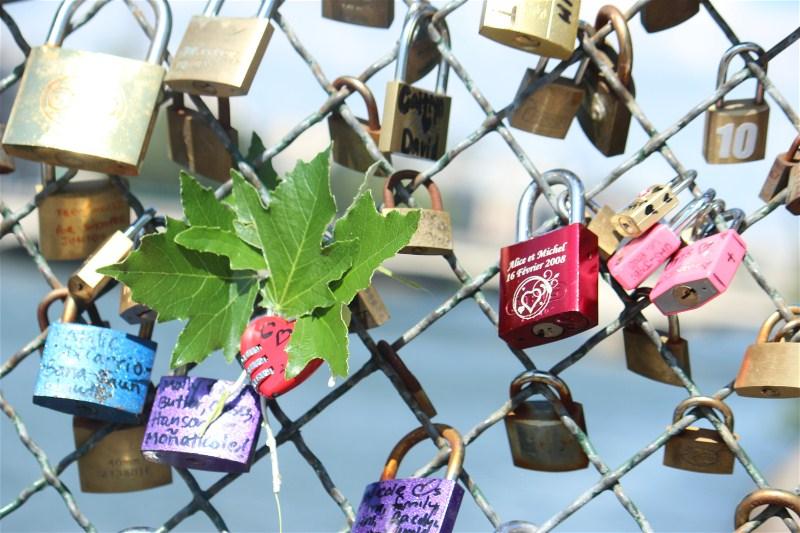 Mon premier concours photo!