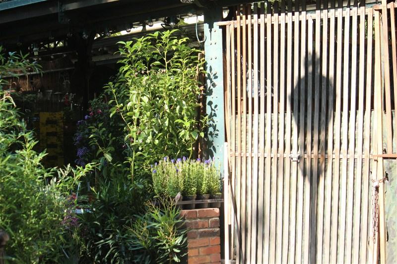 Mon premier concours photo!