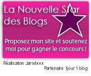La nouvelle star des blogs - Take 2