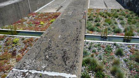 Notre voyage à Saint-Nazaire P1180828