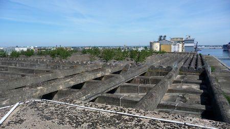 Notre voyage à Saint-Nazaire P1180820