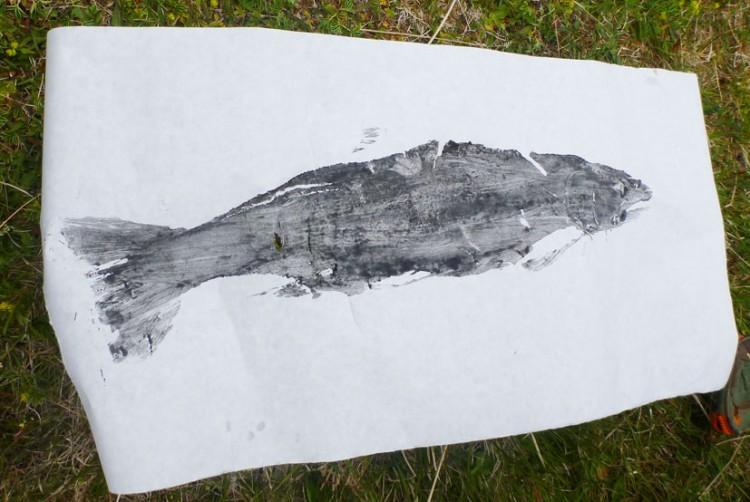 SÉRIE NOIRE ISLANDAISE