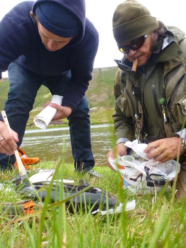 SÉRIE NOIRE ISLANDAISE