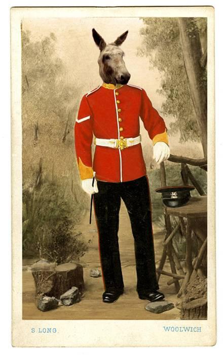 Spécial JO : les athlètes à têtes d’animaux de Charlotte Cory