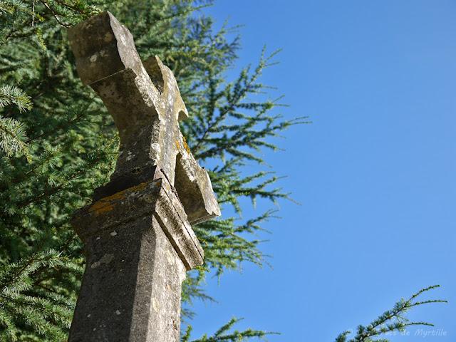 CONTRE-PLONGEE - Projet Photo 52 (semaine #30)