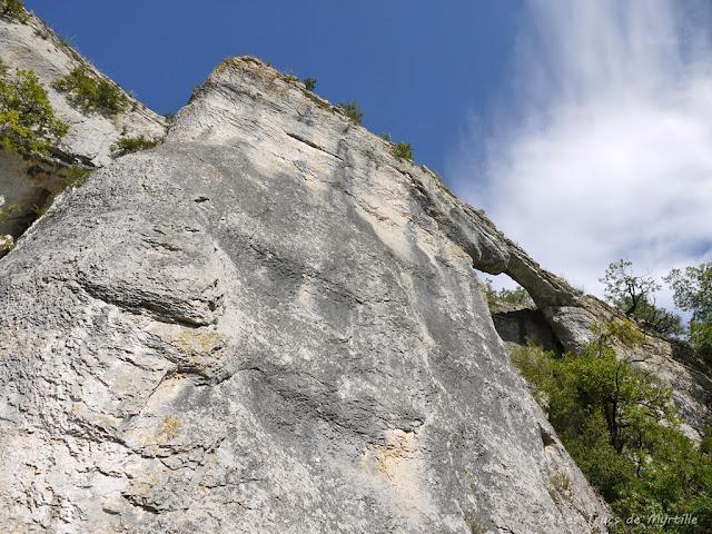 CONTRE-PLONGEE - Projet Photo 52 (semaine #30)