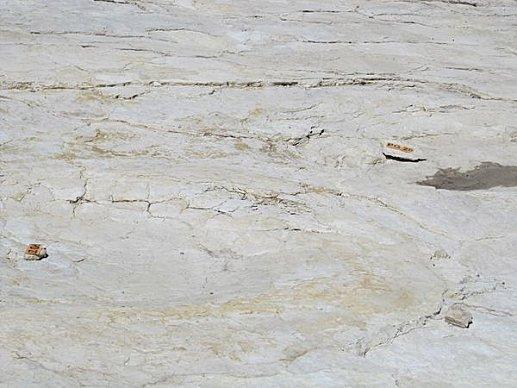 Plagne---les-Dinosaures 0157