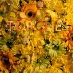 Torches – Silent Film