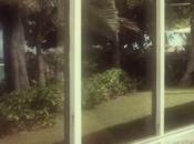 Taken Trees “Dreams” vidéo.