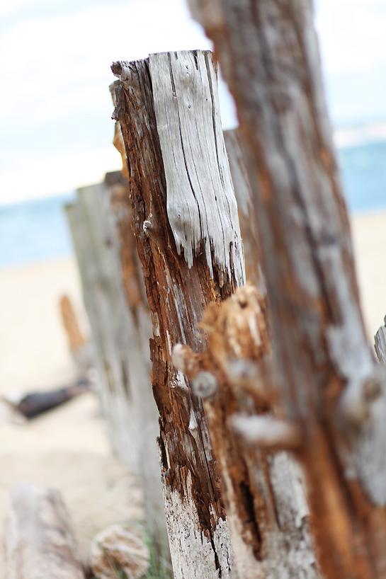 bassin arcachon Carnet de route # 2