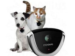 Gadgets pour animaux - Caméra pour animal