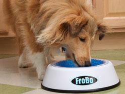 Gadgets pour animaux - Bol FroBo 