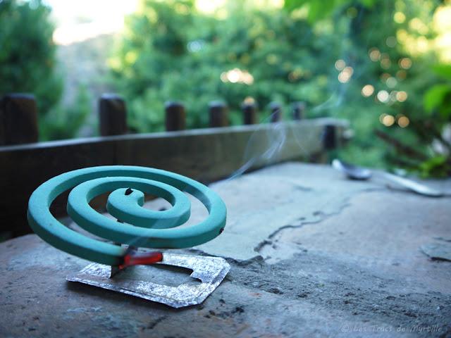 VACANCES - Projet Photo 52 (semaine #31)