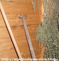 Ramassage des Herbes du jardin