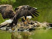 prophéties 2012 l'heure venu