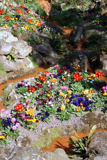 Le Jardin des plantes Nantes/flore