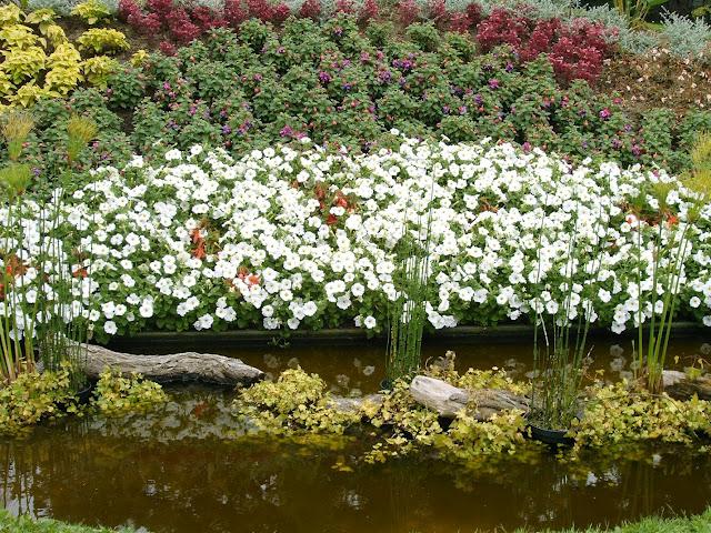 prendre des couleurs