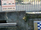 croisière s'alcoolise