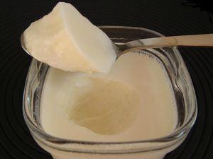 yaourts maison de base très fermes sans sucre et sans lait en poudre (pour  8 pots) - Paperblog