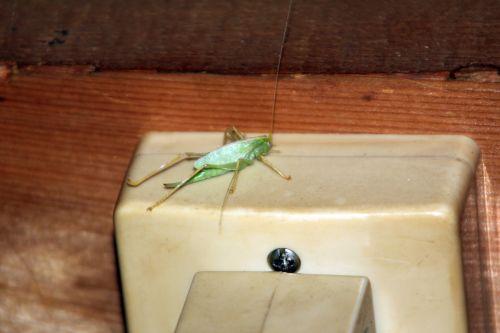 veneux 27 juil 2012 041.jpg