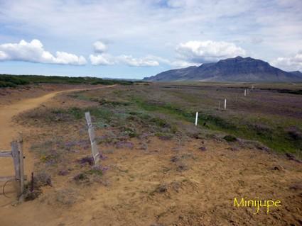 islande,reykjavik,eldborg,snaefellsjokullvolcan