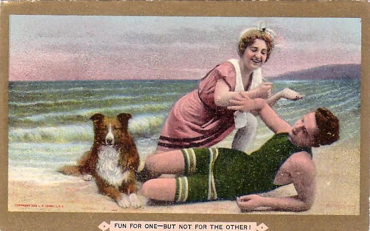 Les chiens à la plage !