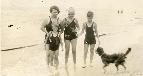 Les chiens à la plage !