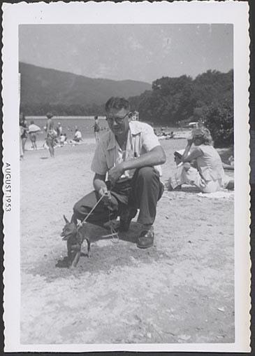 Les chiens à la plage !