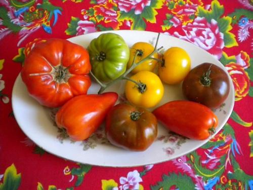 Salade de tomates anciennes