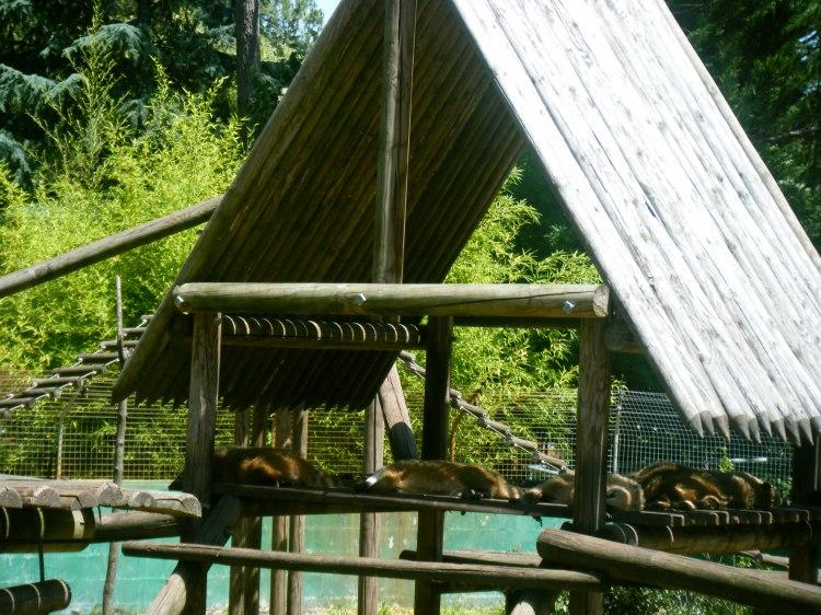 Le Zoo de la Teste de Buch