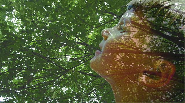 PHOTO DE LA SEMAINE #26